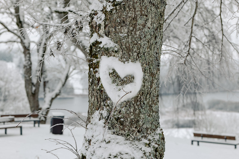 53359578763 2b83ea8280 c (3)